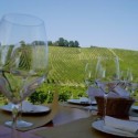 Image for iEat Green Interviews Barbara Shinn, Co-Owner of Shinn Estate Vineyards