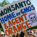 Image for Take Action: Tell the EPA: Stop a New Onslaught of 2,4-D ?Agent Orange? Toxins!, Tell Scotts You?re Boycotting All Its Products until the Company Drops Plans to Sell GMO Grass, Stop Massive Expansion of U.S. Gas Exports