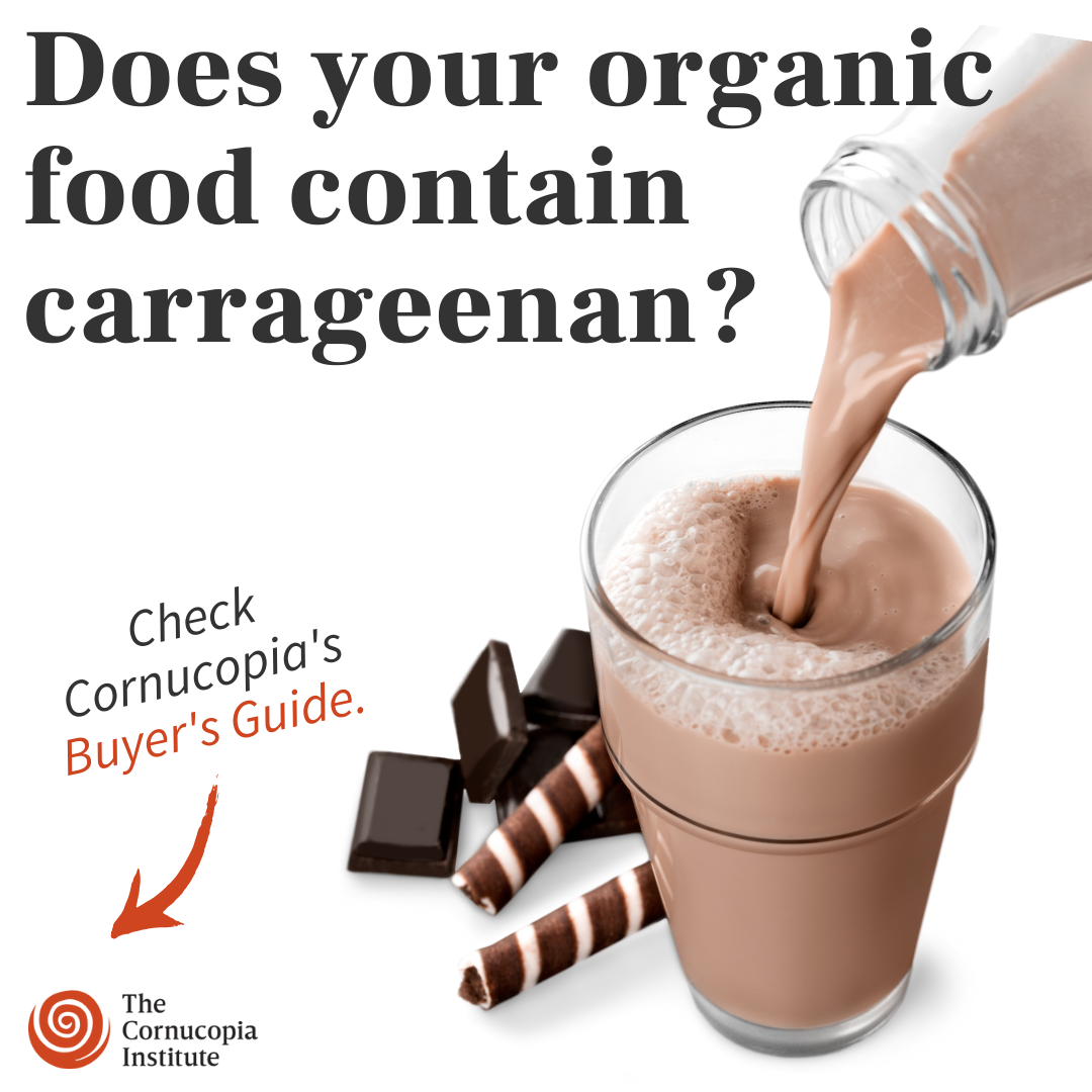 Is Carrageenan Natural? - Cornucopia Institute